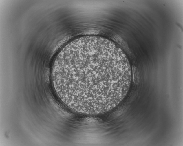 X0000102460300200809051316