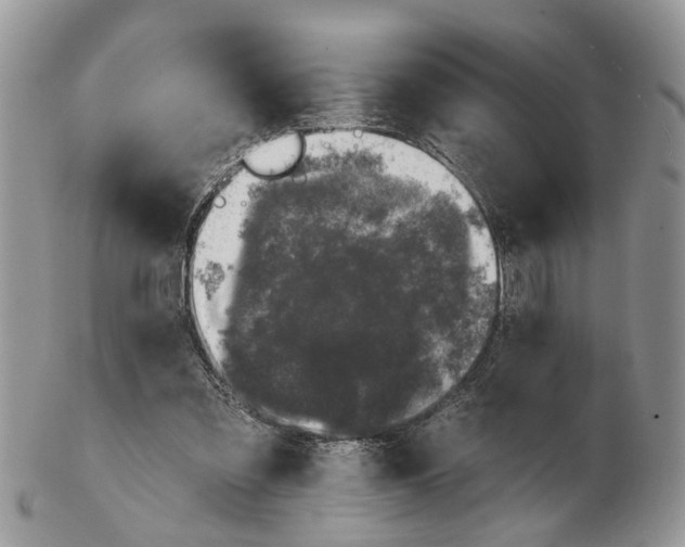 X0000102460301200809051316