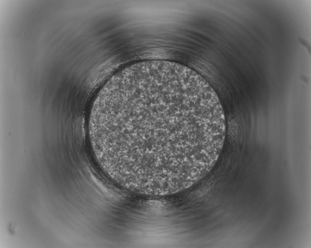 X0000102460302200809051316