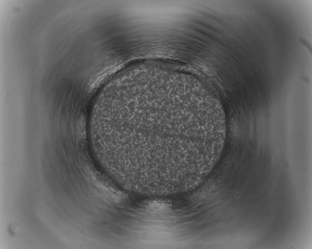 X0000102460303200809051316