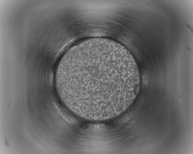 X0000102460304200809051316