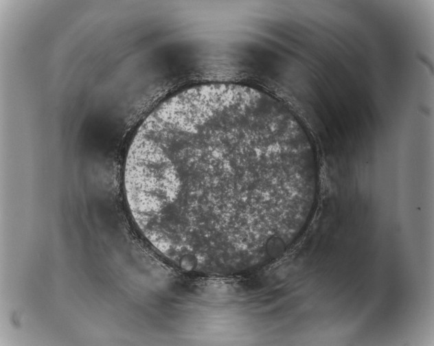 X0000102460305200809051316