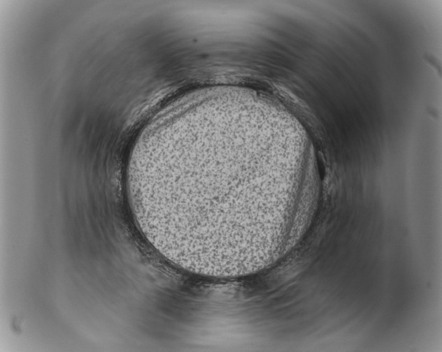 X0000102460306200809051316