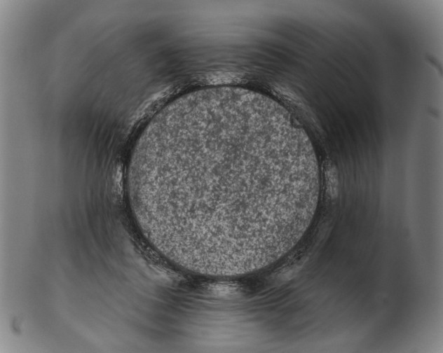 X0000102460308200809051316