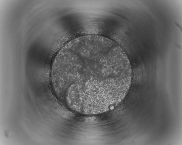 X0000102460309200809051316