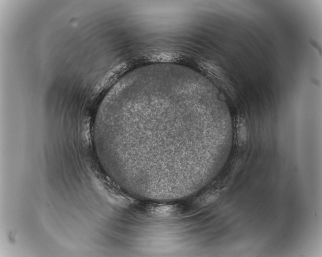 X0000102460312200809051315