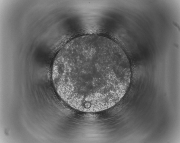 X0000102460313200809051315