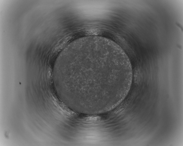 X0000102460314200809051315