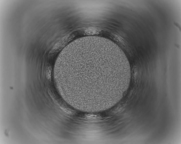 X0000102460315200809051315