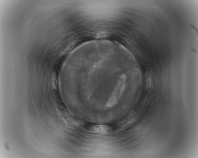X0000102460316200809051315