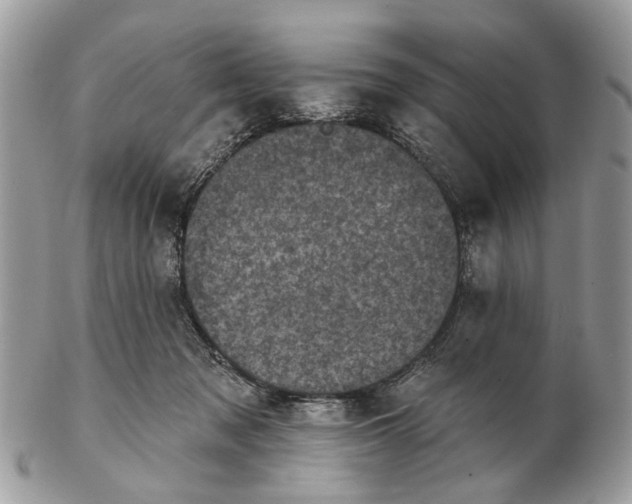 X0000102460317200809051315