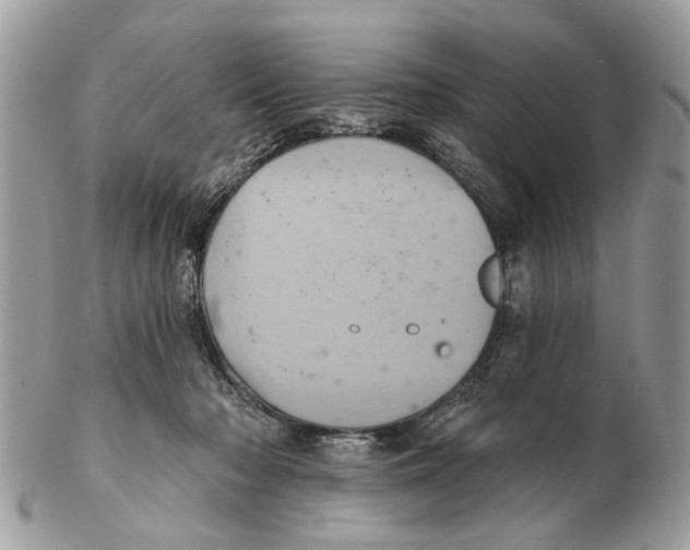 X0000102460318200809051315