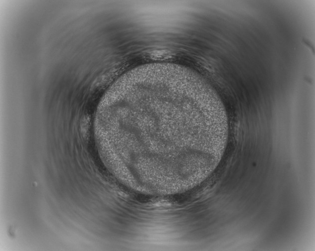 X0000102460319200809051315