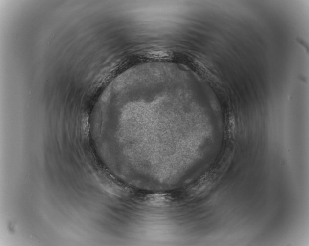 X0000102460320200809051315