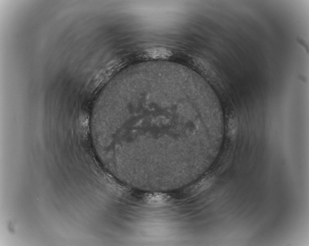 X0000102460321200809051315