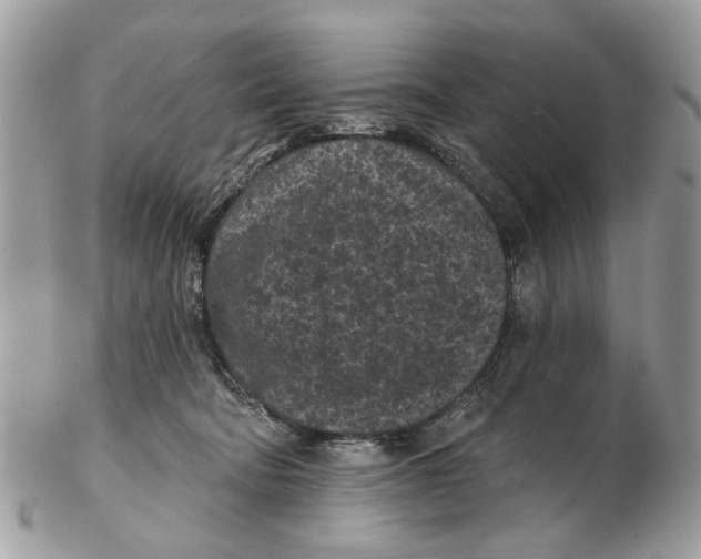 X0000102460322200809051315