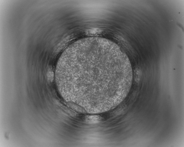 X0000102460324200809051315