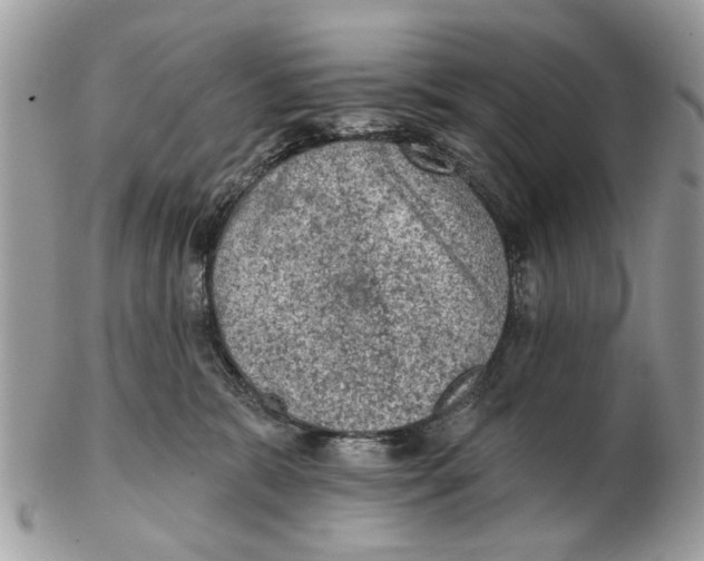 X0000102460327200809051315