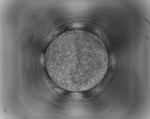 X0000102460328200809051315