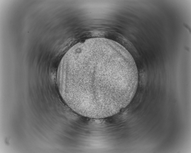 X0000102460329200809051315