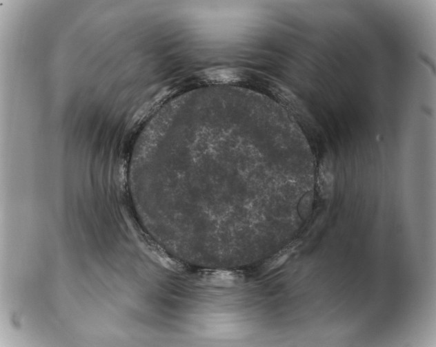 X0000102460330200809051315