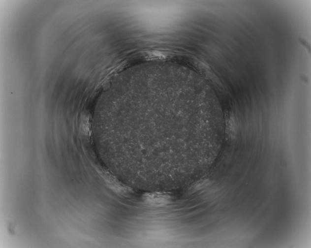 X0000102460331200809051315