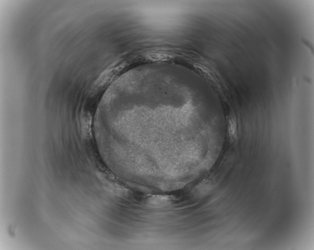 X0000102460332200809051315