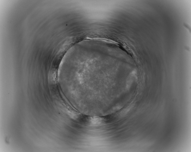 X0000102460336200809051315