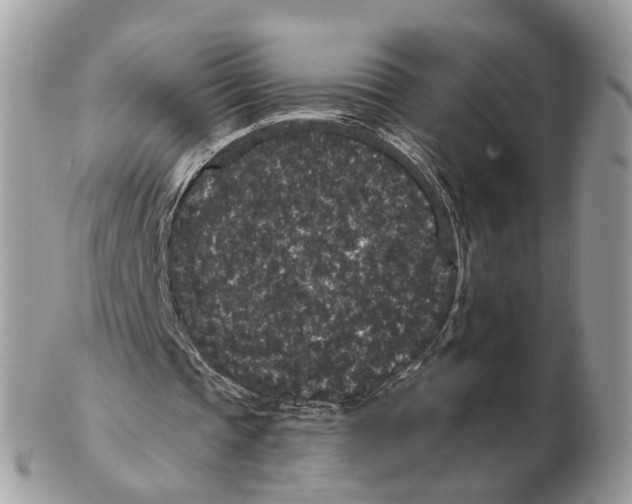 X0000102460337200809051314