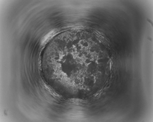 X0000102460339200809051314