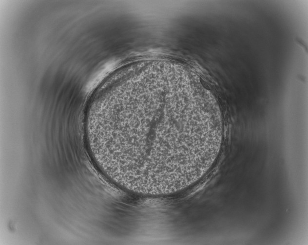 X0000102460341200809051314