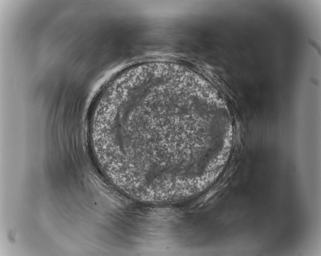 X0000102460342200809051314