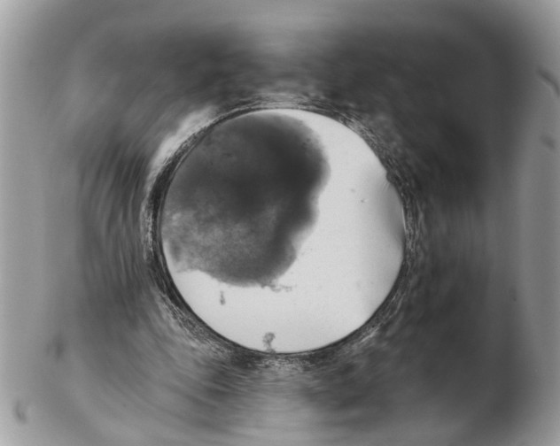 X0000102460343200809051314