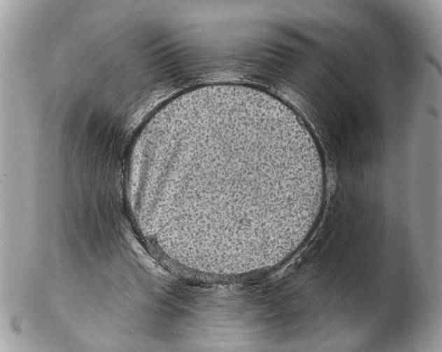 X0000102460345200809051314
