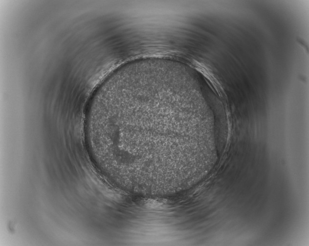 X0000102460346200809051314