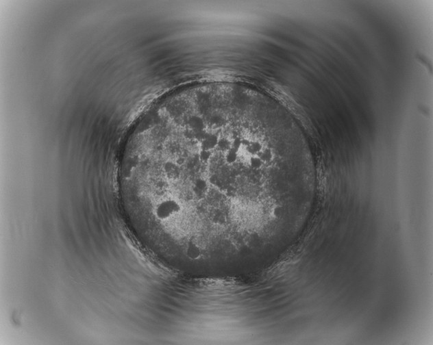 X0000102460347200809051314