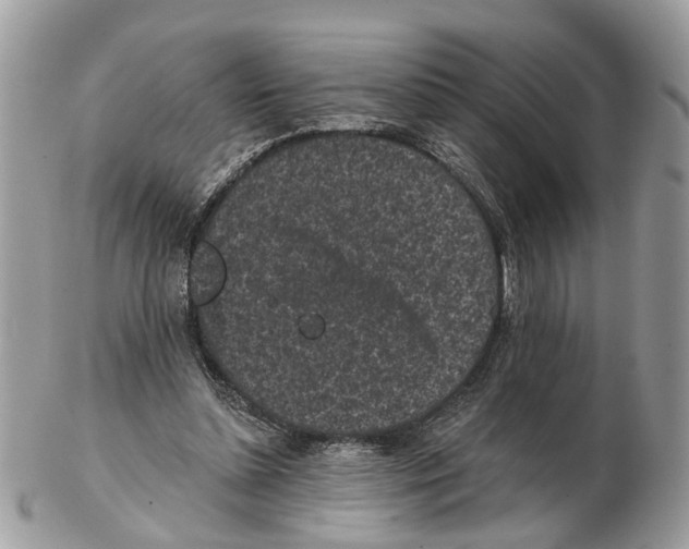 X0000102460348200809051314