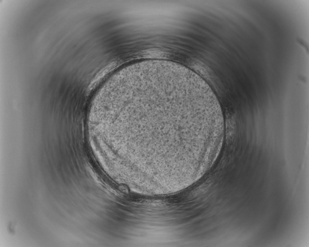 X0000102460349200809051314