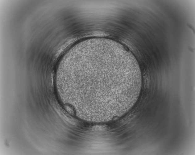 X0000102460350200809051314