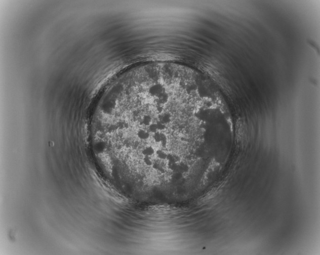 X0000102460351200809051314