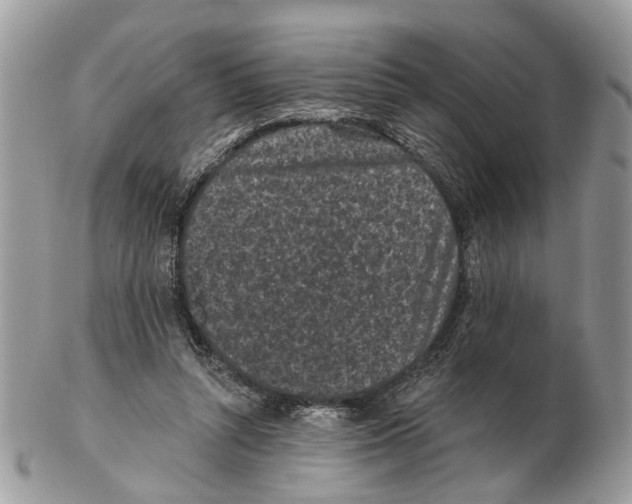 X0000102460352200809051315