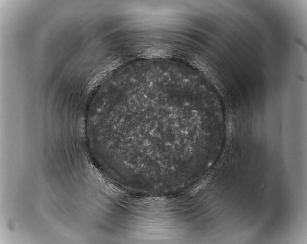 X0000102460353200809051315