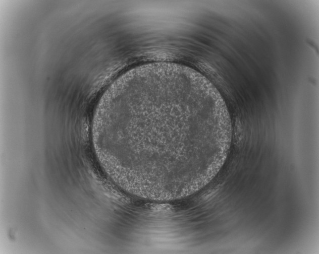 X0000102460355200809051315