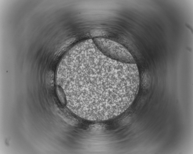 X0000102460356200809051315