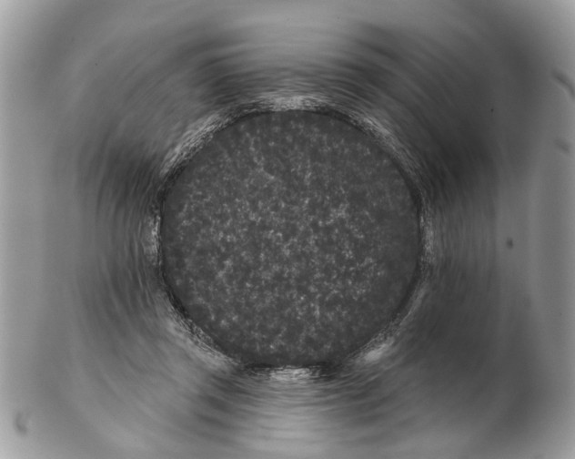 X0000102460357200809051315