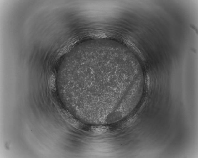 X0000102460359200809051315