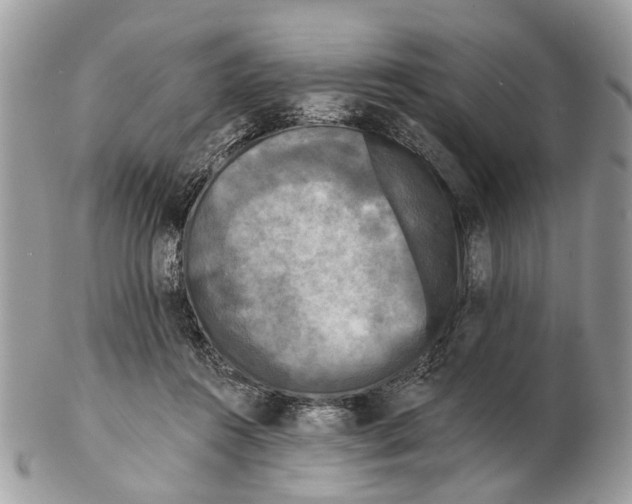 X0000102460360200809051315