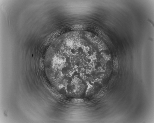 X0000102460361200809051315
