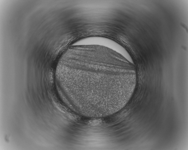 X0000102460362200809051315