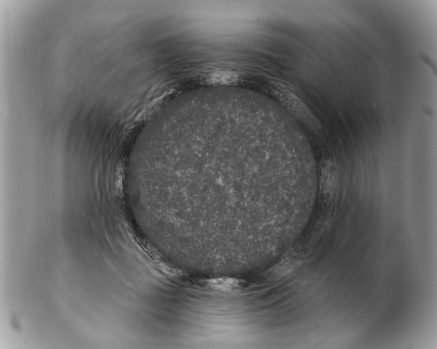 X0000102460363200809051315